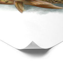 Truite à gorge jaune