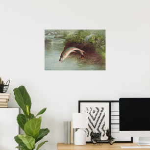 Poster Truitelle de ruisseau par S.A. Kilbourne Poisson v
