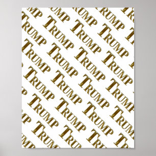 POSTER TRUMP