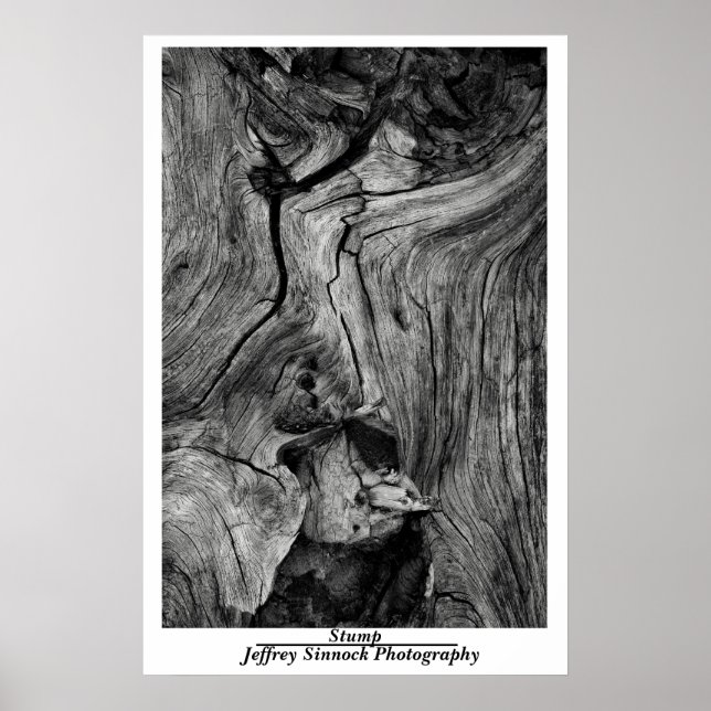 Poster Trump (Devant)