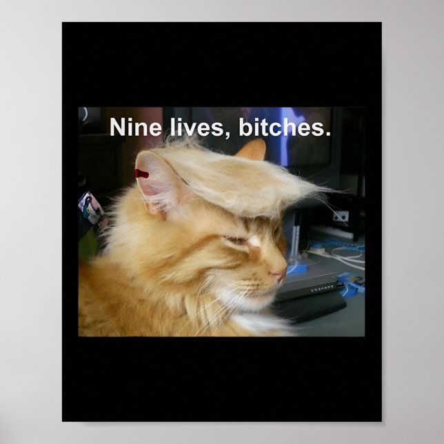 Poster Trump Cat Nine vit drôle Trump 2024 Vote Électio (Devant)