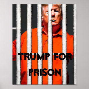 Poster Trump En Prison