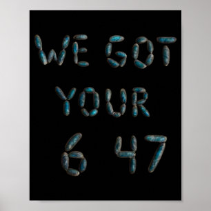 Poster Trump Nous Avons Votre 6 4 7 Pro Trump