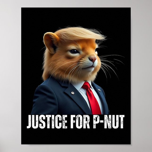 Poster Trump Pour La Noix De P La Justice Des Écureuils P (Devant)