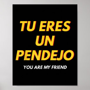 Poster Tu Eres Pendejo Funny Espagnol Dire Un Cadeau Espa