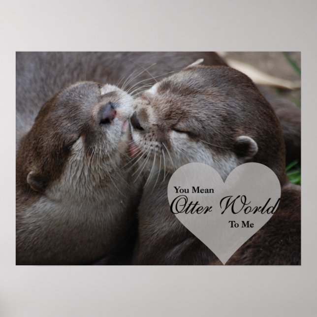 Poster Tu Veux Dire Qu'Un Monde D'Otter Pour Moi Otters A (Devant)