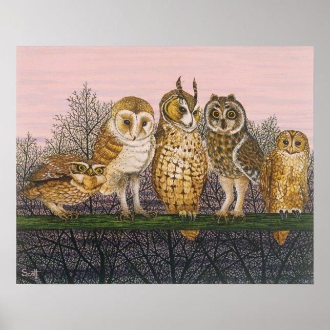 Poster Tu-whit Tu-whooing (Devant)