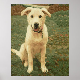Poster Tucker
