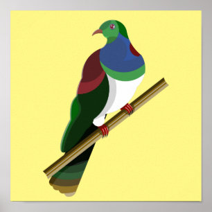 Poster Tui Kereru NZ Bird