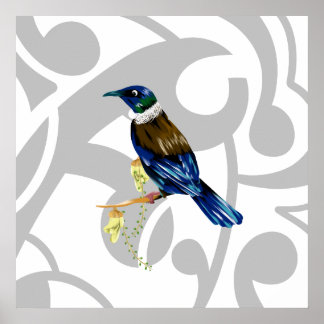 Poster Tui NZ Bird