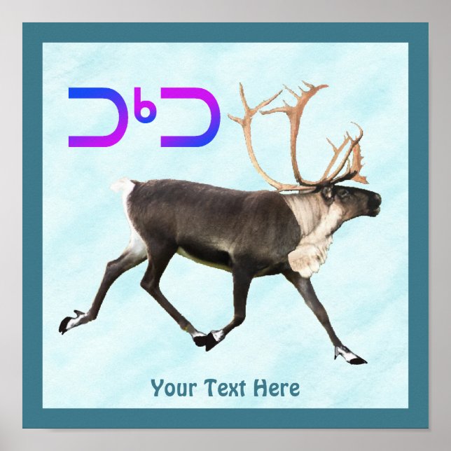 Poster Tuktu - Caribou Sur Neige (Devant)