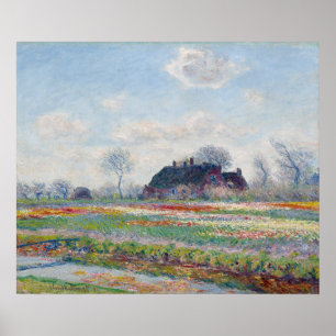 Poster Tulip Fields at Sassenheim by Claude Monet