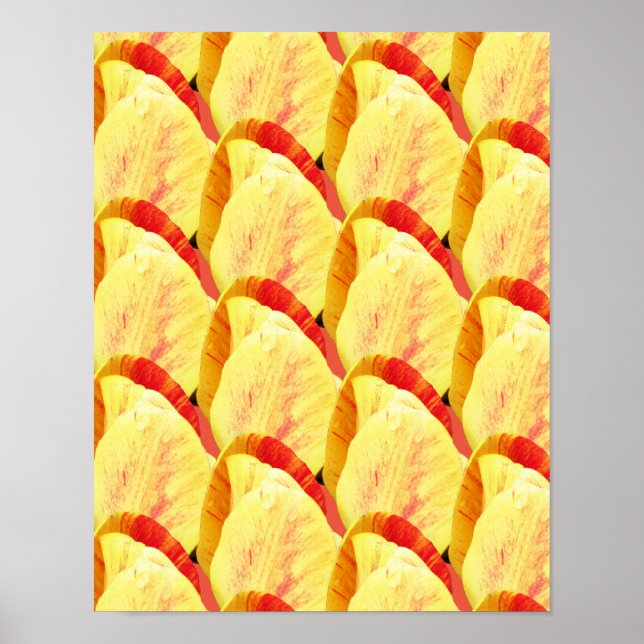 Poster Tulip Flowers Motif (Devant)