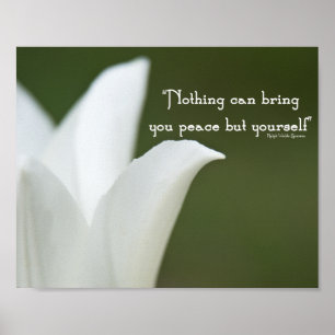 Poster Tulipe de la Paix