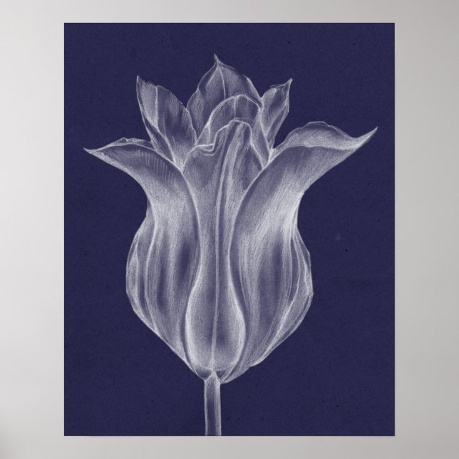Poster Tulipe monochrome III (Devant)