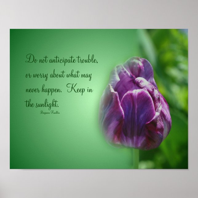 Poster Tulipe pourpre Attitude de vie Citation Inspiratio (Devant)