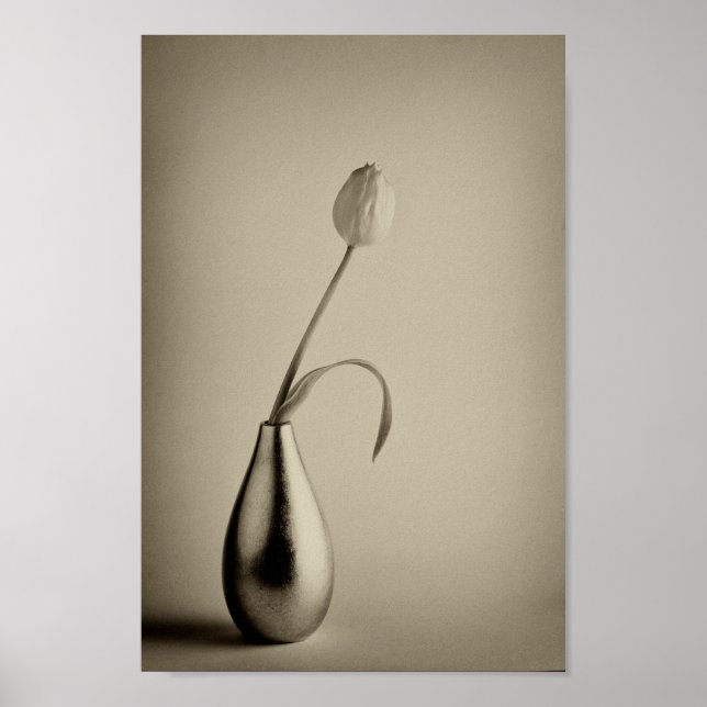 Poster Tulipe tonique sépia vieilli dans le vase (Devant)