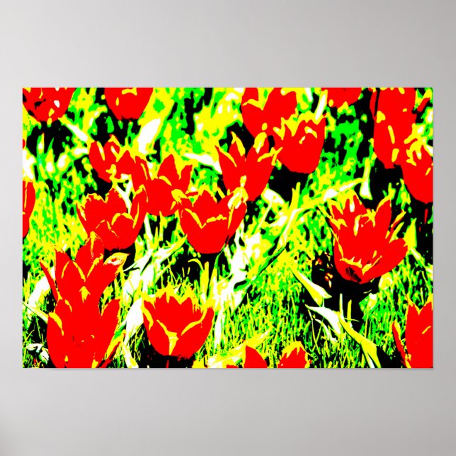 Poster Tulipes (Devant)