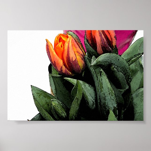 Poster Tulipes à nouveau (Devant)