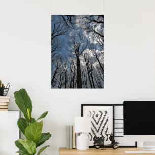 Poster Tulipes Arbres Liriodendrons Ciel Bleu Nuageux