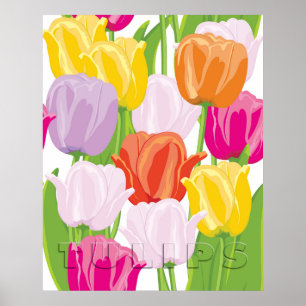 Poster Tulipes Colorées
