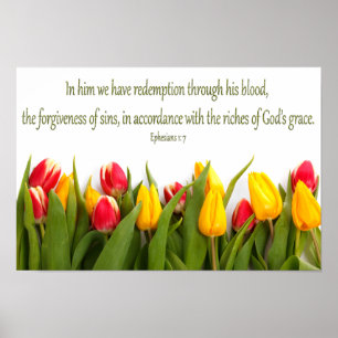 Poster Tulipes colorées de 1:7 d'Ephesians d'écriture