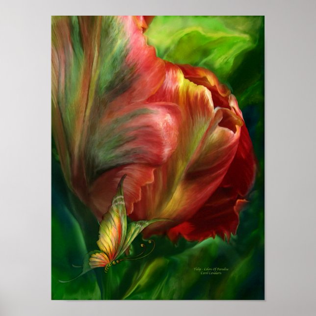 Poster Tulipes-Couleurs Du Paradis (Devant)