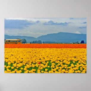 Poster Tulipes et autobus scolaire jaunes