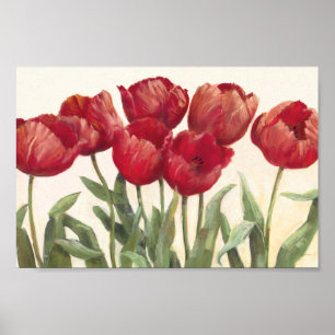 Poster Tulipes rouges