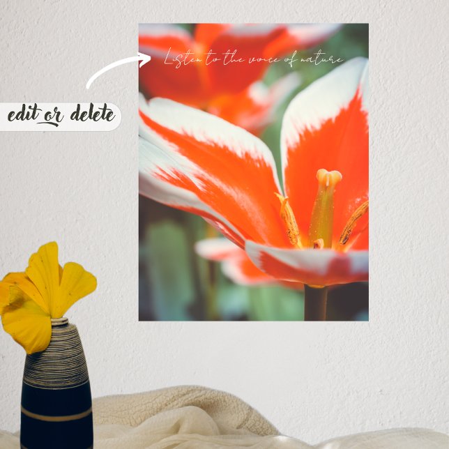 Poster Tulipes rouges (Créateur téléchargé)