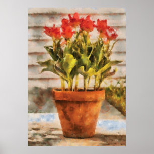 Poster Tulipes - Un pot de Tulipes