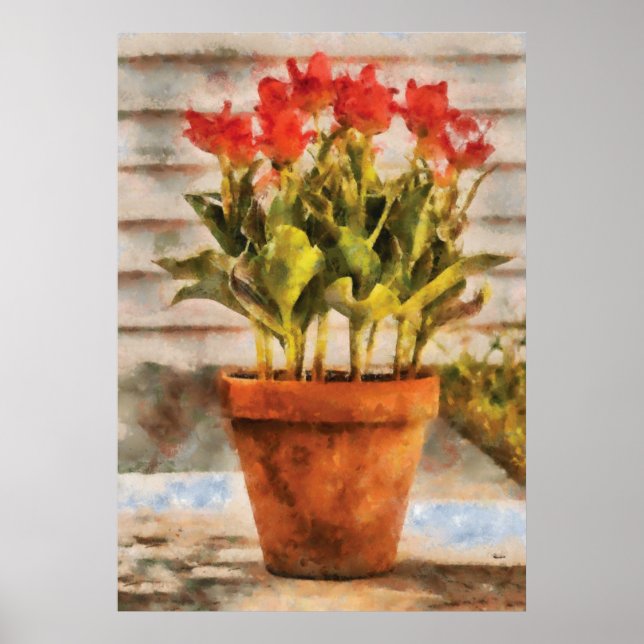 Poster Tulipes - Un pot de Tulipes (Devant)