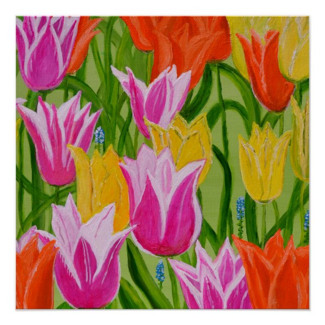 Poster Tulips1 (Devant)