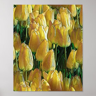 Poster Tulips Sunshine Yellow