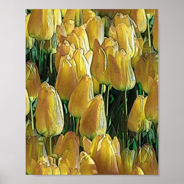 Poster Tulips Sunshine Yellow (Devant)