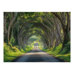 Poster Tunnel d'arbres de Kauai Photographie d'art mural