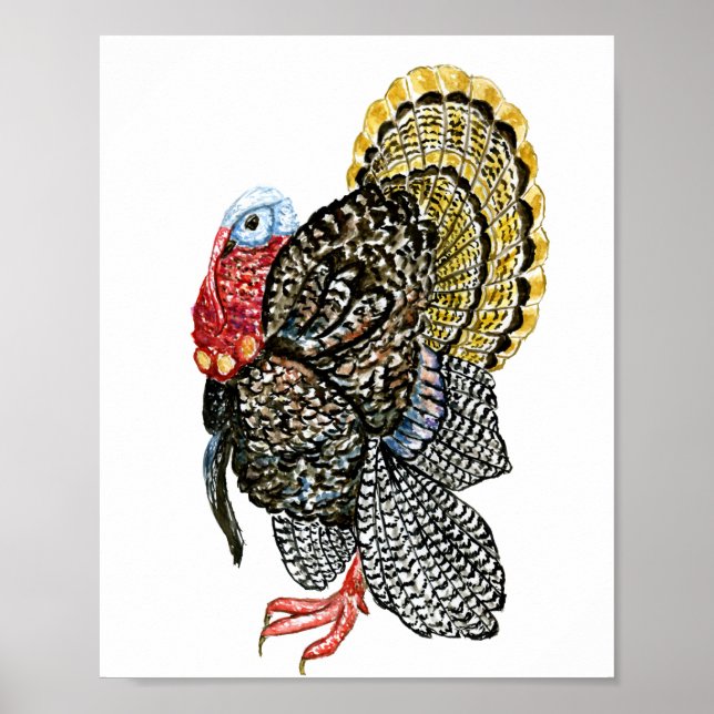 Poster Turkey bird hand drawn illustration (Devant)