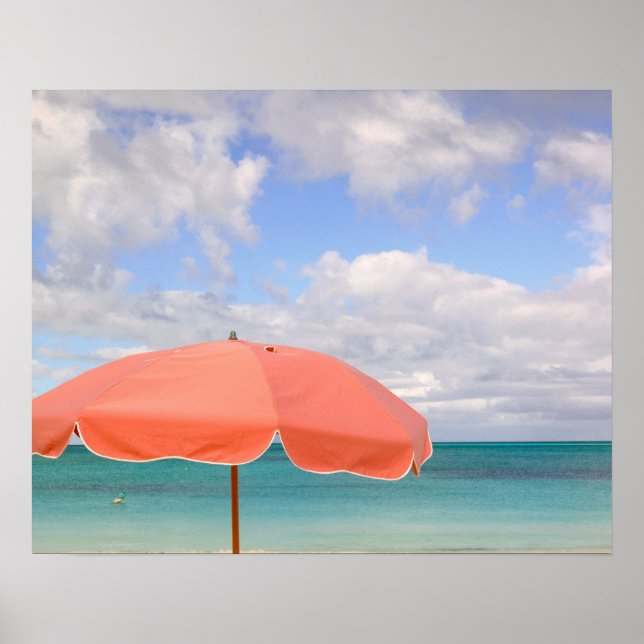 Poster Turks and Caicos, île Providenciales, Grace (Devant)