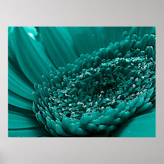 Poster Turquoise