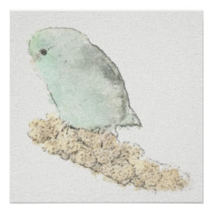 Poster Turquoise Parrotlet sur l'aquarelle de millet
