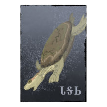 Turtle Dives Trop Profond