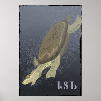 Poster Turtle Dives Trop Profond