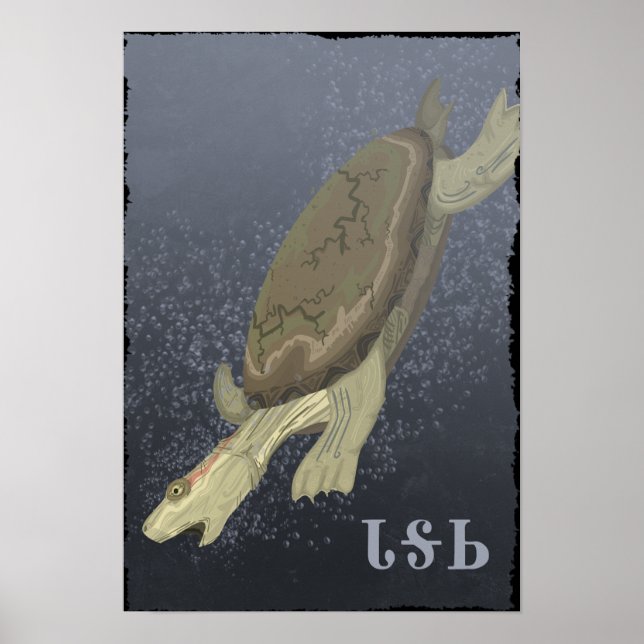 Poster Turtle Dives Trop Profond (Devant)