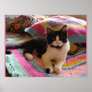 Poster Tuxedo Chat Cute dormant Crochet tapis Chats Poste