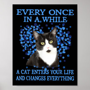 Poster Tuxedo Chat De Temps En Temps Un Chat Entre Dans V