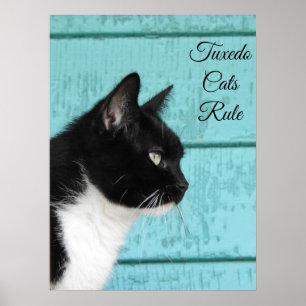 Poster Tuxedo profil de chat sur Turquoise