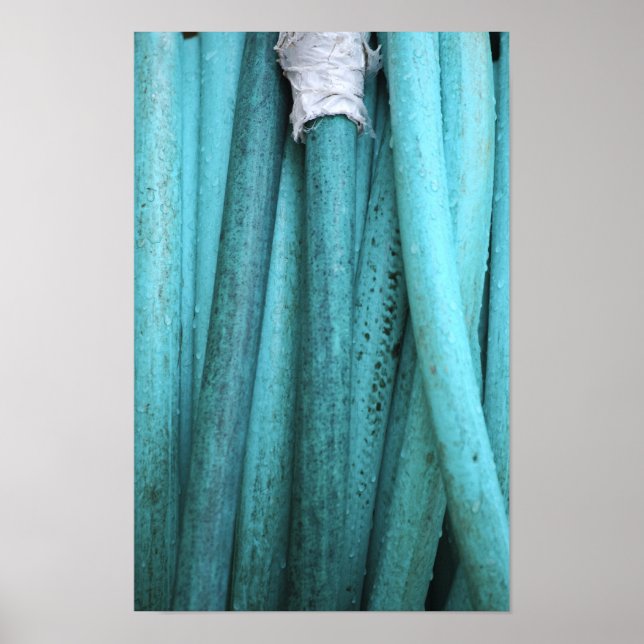 Poster Tuyau en bande (Devant)