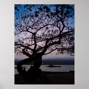 Poster TWILIGHT sur HILO BAY HAWAII