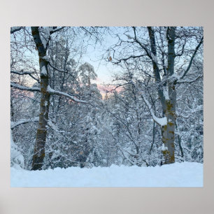 Poster Twin Peaks neige sur les arbres