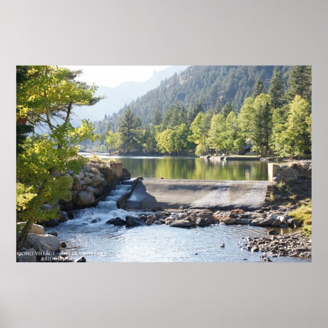 Poster Twin Supérieur (Devant)